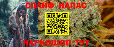 прущие грибы Беслан