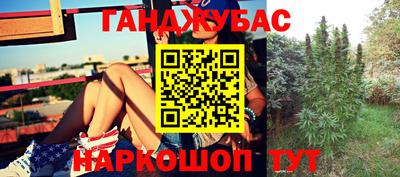 прущие грибы Беслан