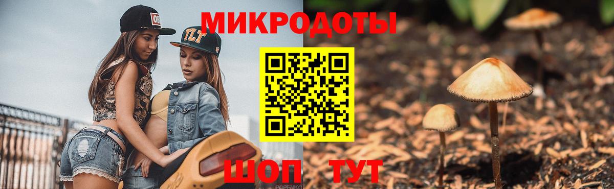 Дзержинский  Псилоцибиновые грибы GOLDEN TEACHER  Вход с VPN  Псилоцибиновые грибы прущие грибы 